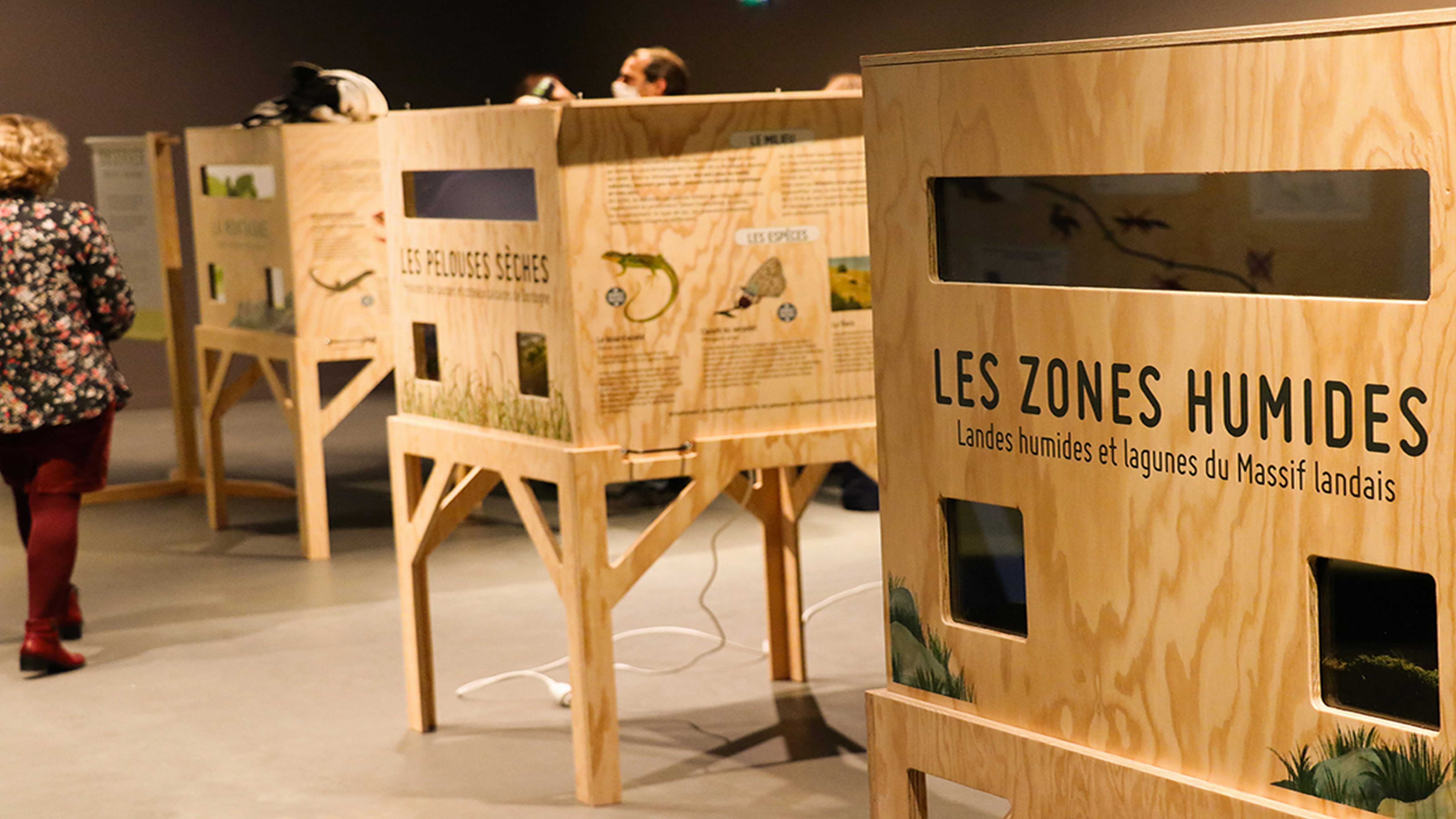 "Sentinelles du climat", une exposition sur les effets du changement climatique au Museum de Bordeaux