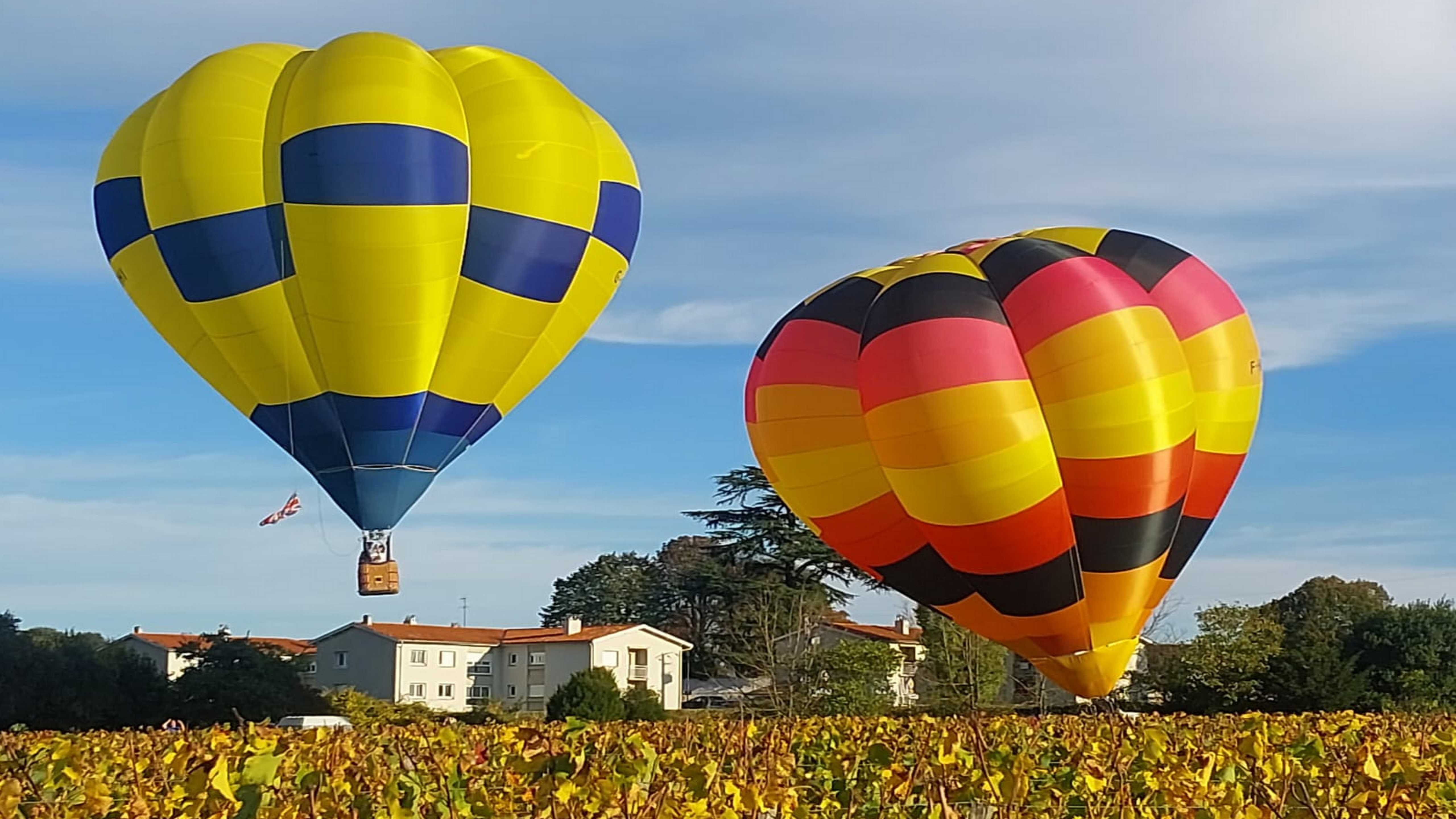Saint-Emilion : les "Montgolfiades" de retour au-dessus du vignoble